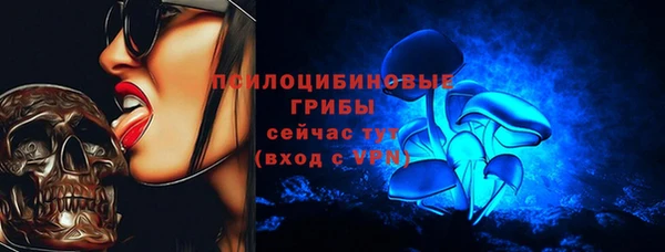 Альфа ПВП Арсеньев