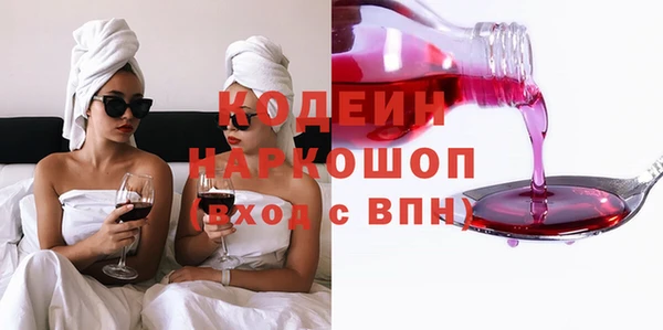 индика Аркадак