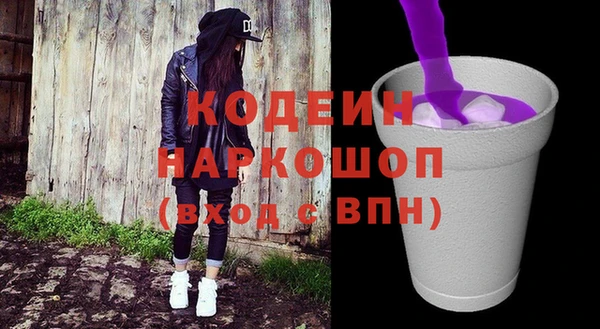 индика Аркадак