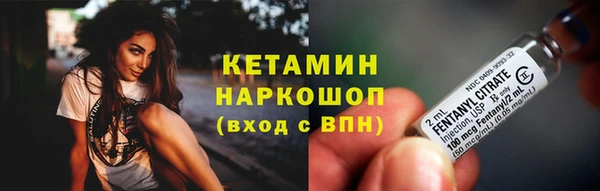 индика Аркадак