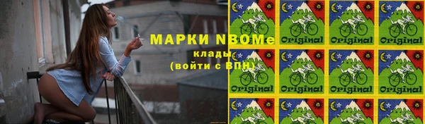 индика Аркадак