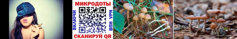 купить  сайты  Сибай  Галлюциногенные грибы MAGIC MUSHROOMS 